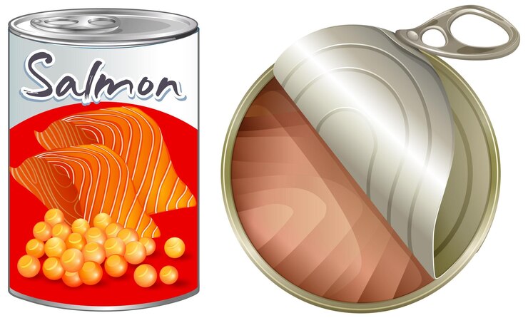 Vector Gratis salmon fish canned food