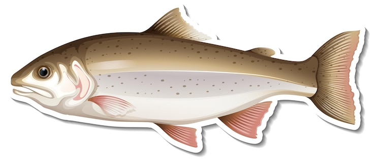Vector Gratis salmon fish cartoon sticker