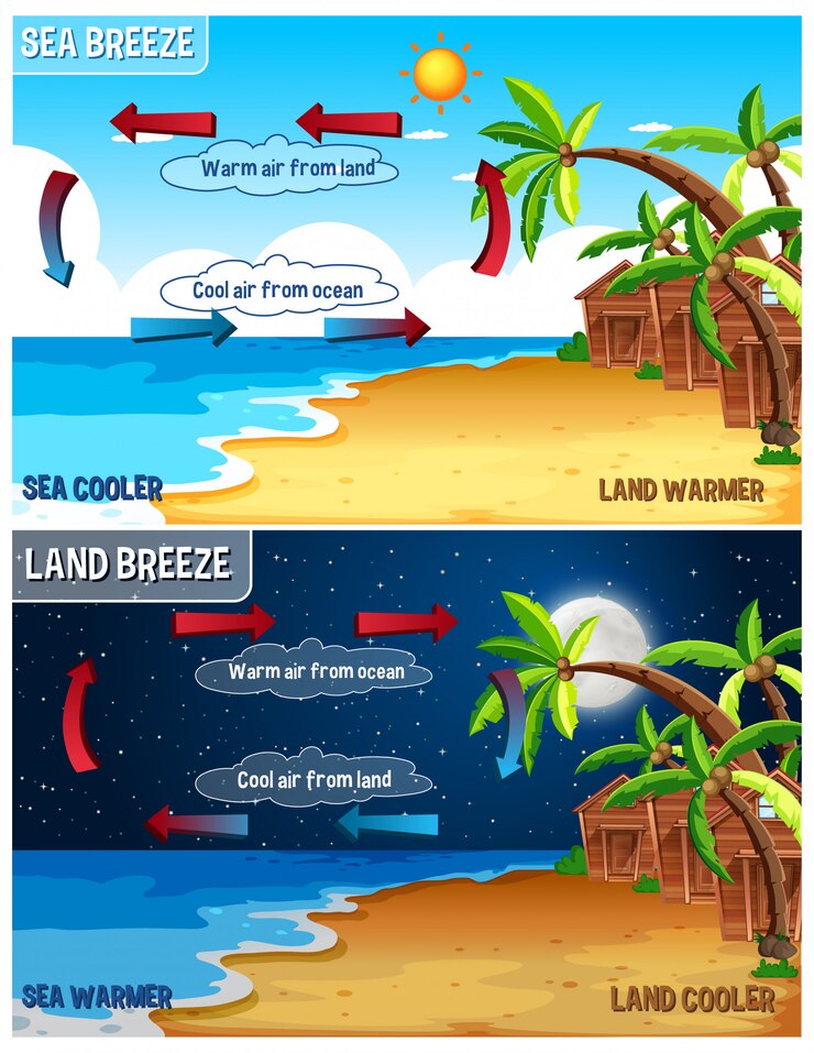 Vector Gratis science infographic for sea and land breeze