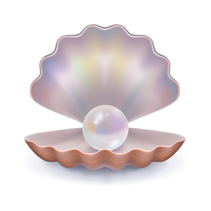 Vector Gratis seashell with a pearl