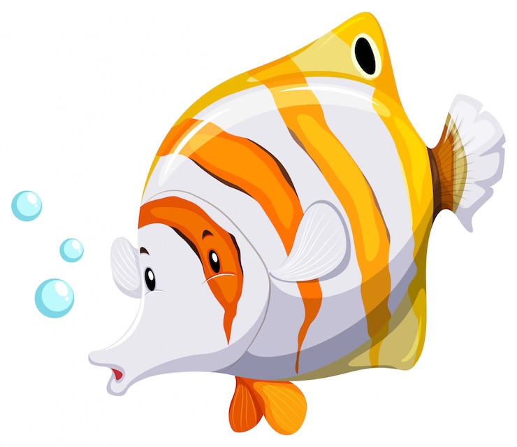 Vector Gratis seekor ikan