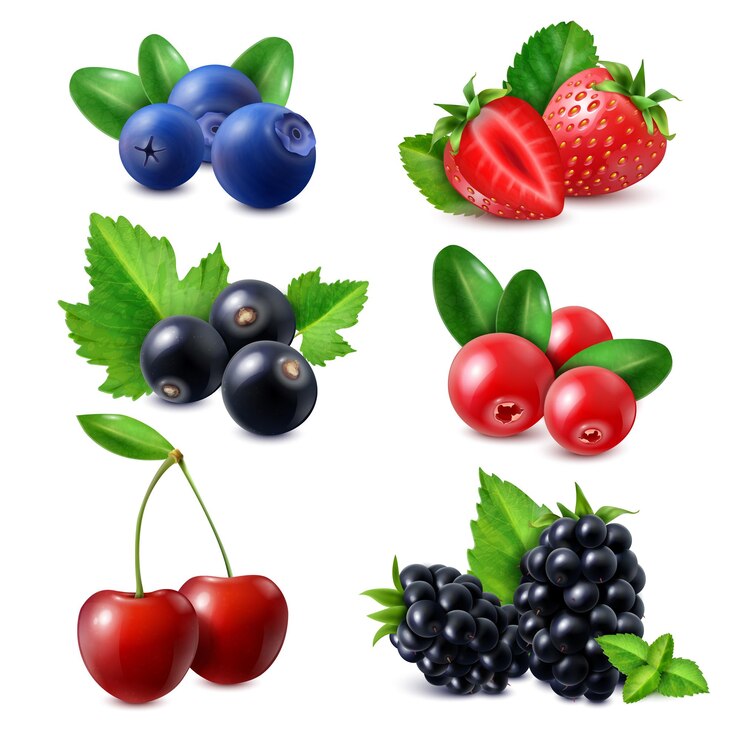 Vector Gratis set buah beri realistis dari stroberi bilberry cowberry blackberry currant ceri ilustrasi vektor terisolasi