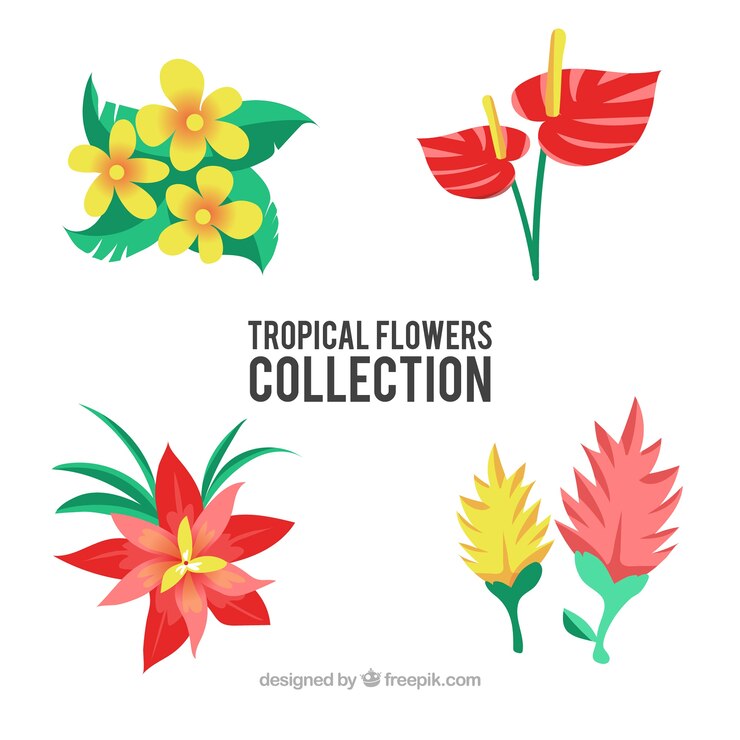 Vector Gratis set bunga tropis yang indah