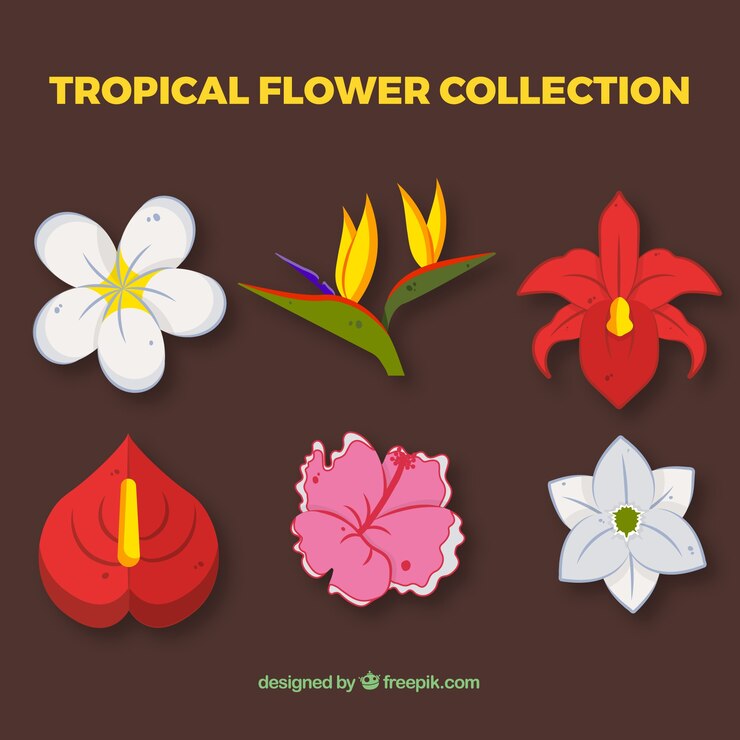 Vector Gratis set bunga tropis yang indah