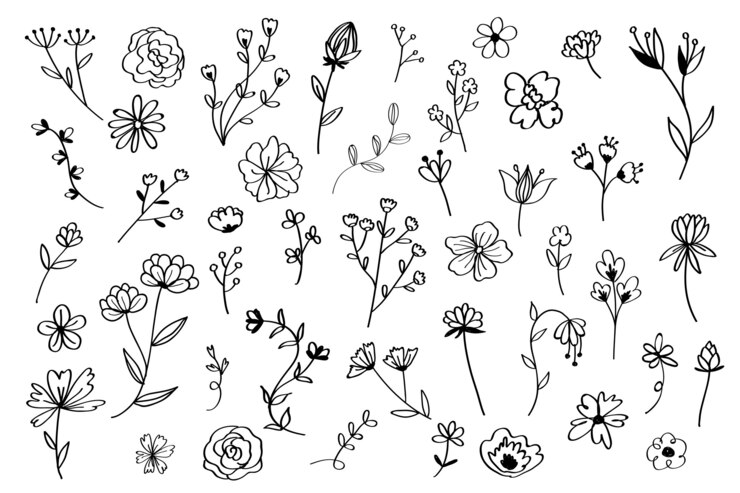 Vector Gratis set bunga yang digambar tangan