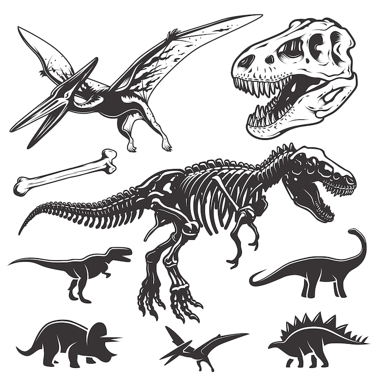 Vector Gratis set dinosaurus monokrom. elemen arkeologi. tengkorak dan kerangka t-rex. ikon dinosaurus.
