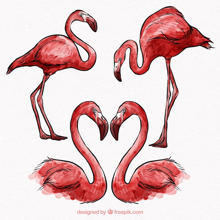 Vector Gratis set flamingo dalam berbagai pose