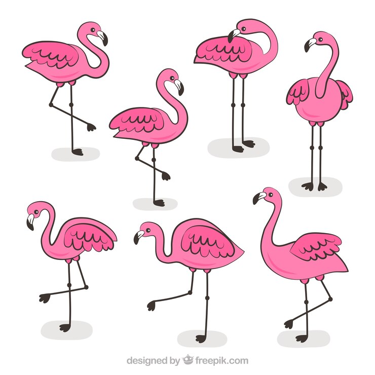 Vector Gratis set flamingo merah muda dengan berbagai macam gaya
