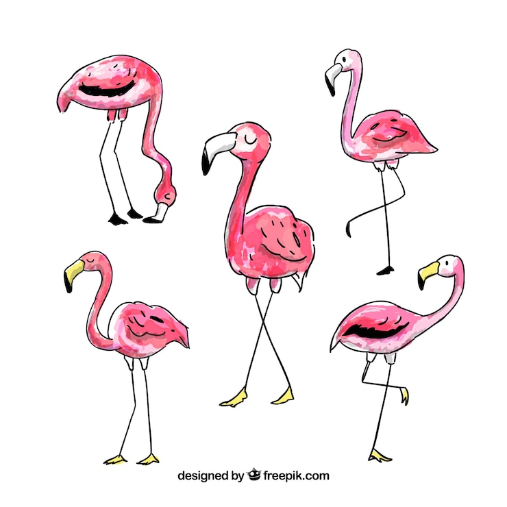 Vector Gratis set flamingo merah muda dengan berbagai macam gaya