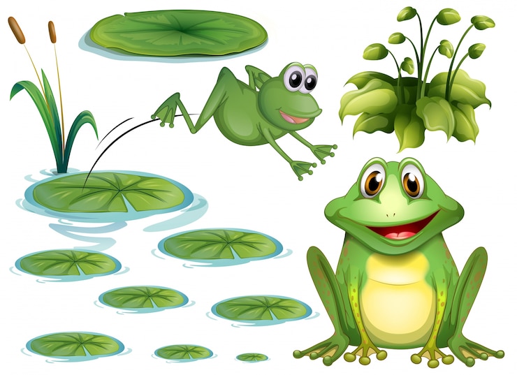 Vector Gratis set katak hijau dan bunga lili air