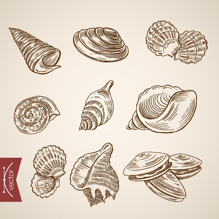 Vector Gratis set laut kehidupan laut dunia bawah laut.