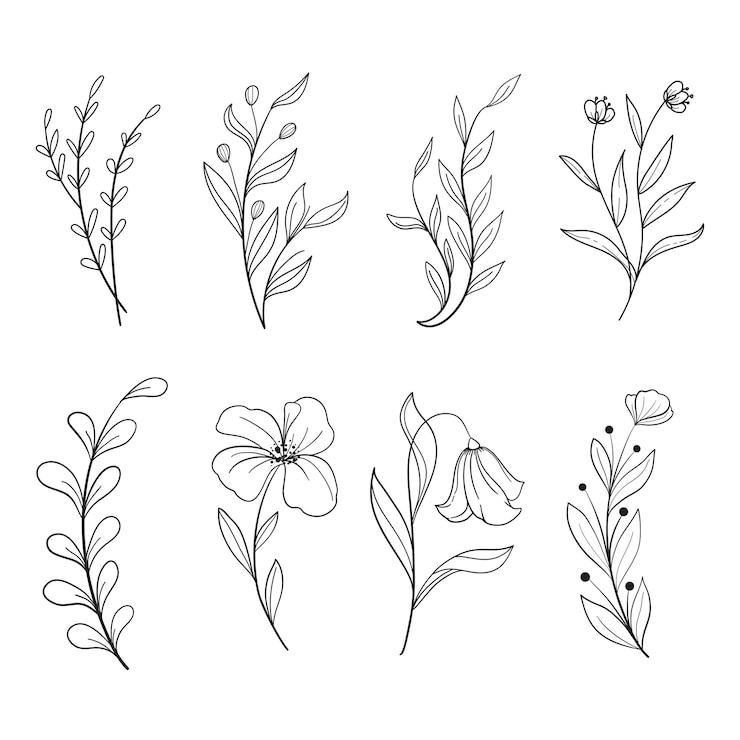 Vector Gratis set of botanical leaf doodle wildflower botanical line art drawings collection