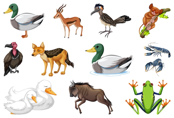 Vector Gratis set of different kinds of animals
