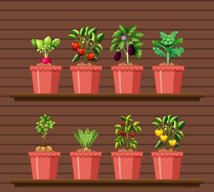 Vector Gratis set of different vegetables in different pot on wood wall shelf