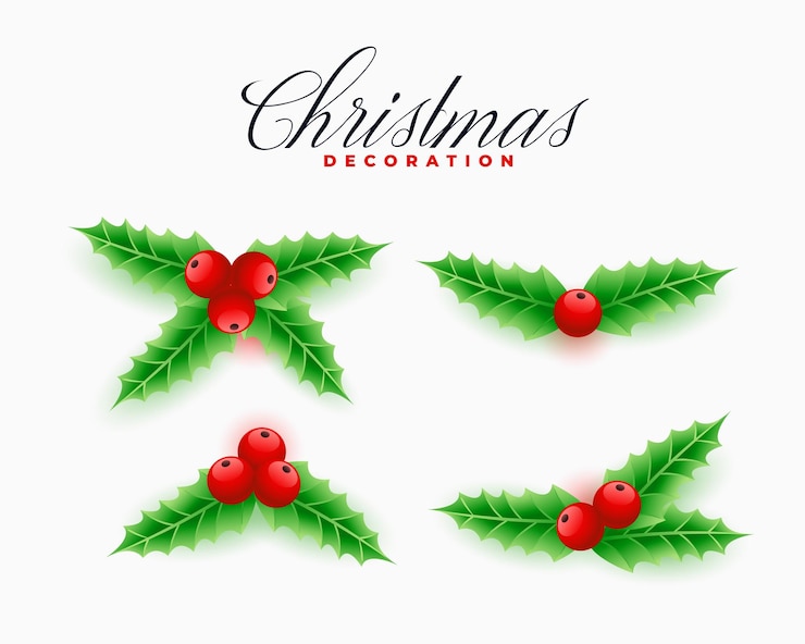 Vector Gratis set of four christmas ilex leaves design for xmas decoration
