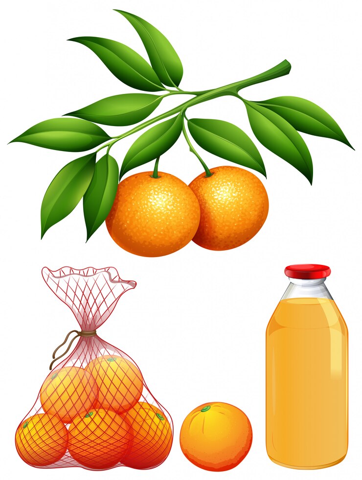 Vector Gratis set of fresh oranges and juice