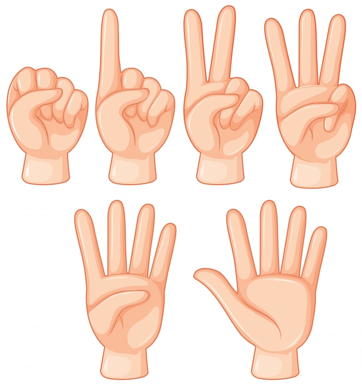 Vector Gratis set of hand gesture