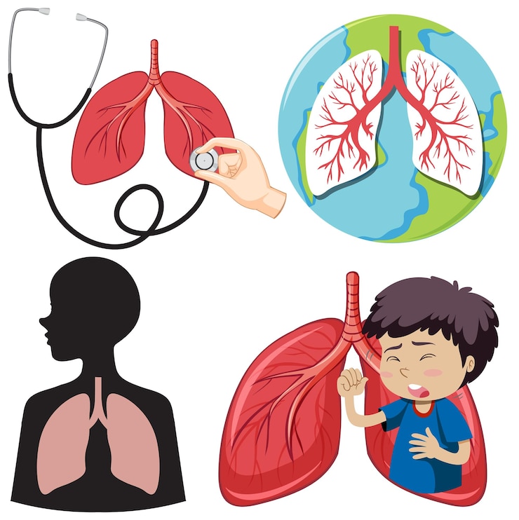 Vector Gratis set of human lung icons for medical and health designs