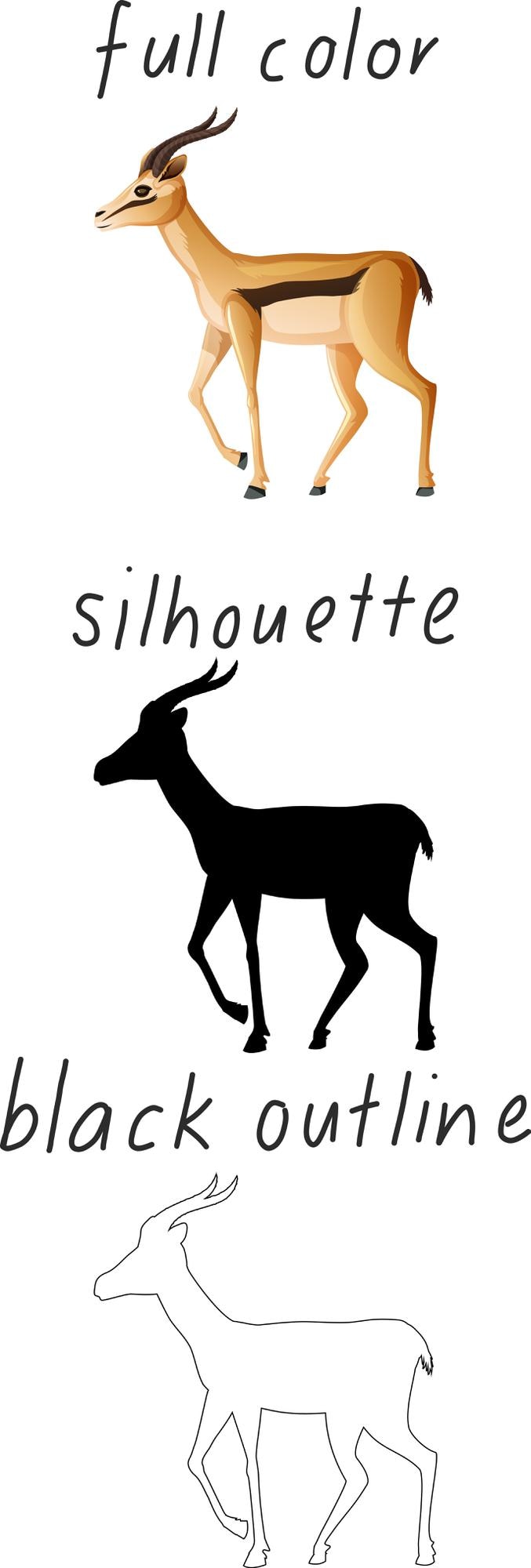 Vector Gratis set of impala in color, silhouette and black outline on white background
