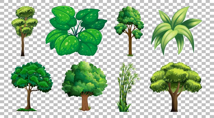 Vector Gratis set of tree on transparent 