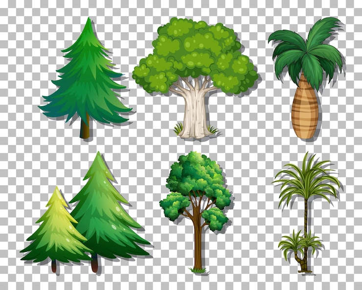 Vector Gratis set of variety trees on transparent background