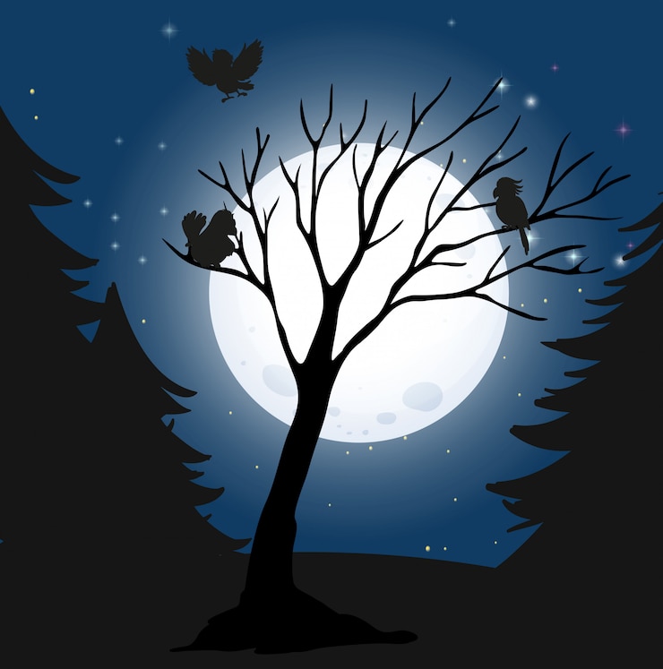 Vector Gratis silhouette dark night and birds