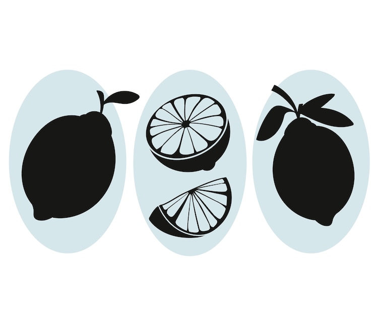 Vector Gratis siluet lemon digambar tangan