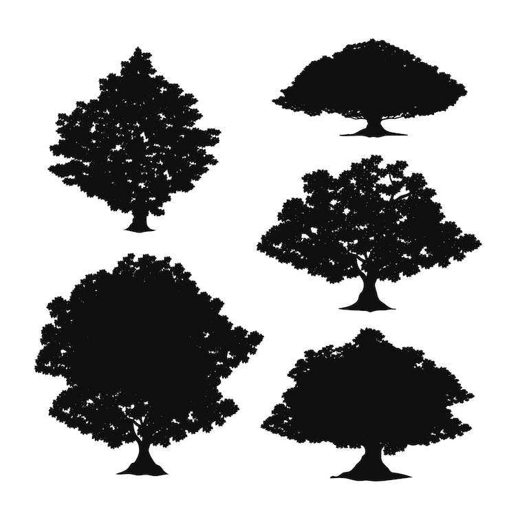 Vector Gratis siluet pohon oak desain datar