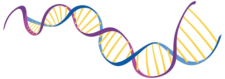 Vector Gratis simbol heliks dna terisolasi pada latar belakang putih
