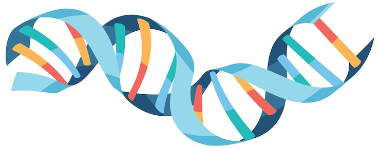 Vector Gratis simbol heliks dna terisolasi pada latar belakang putih
