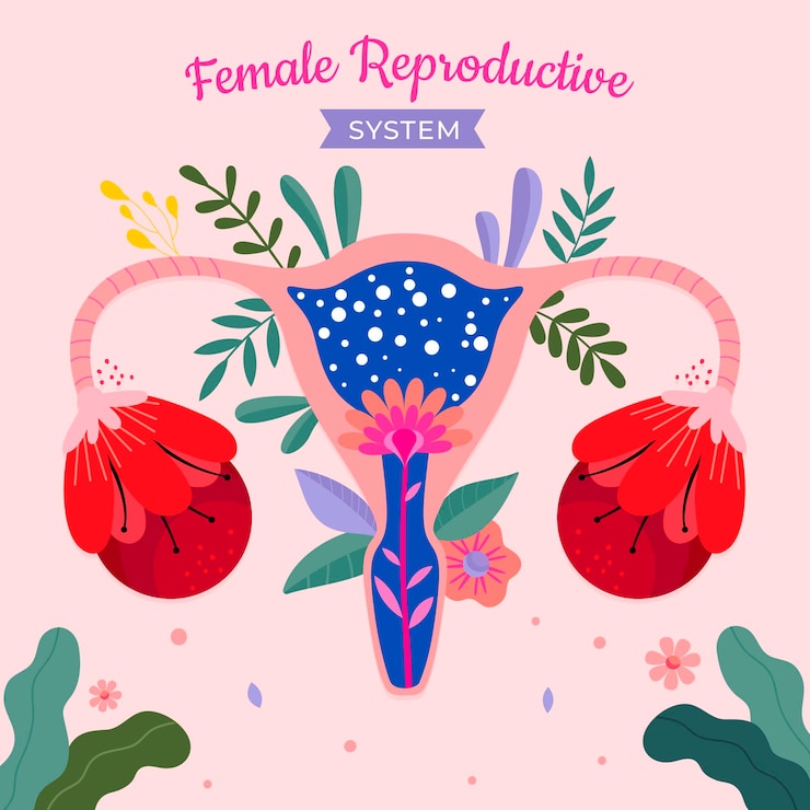 Vector Gratis sistem reproduksi wanita floral yang diilustrasikan