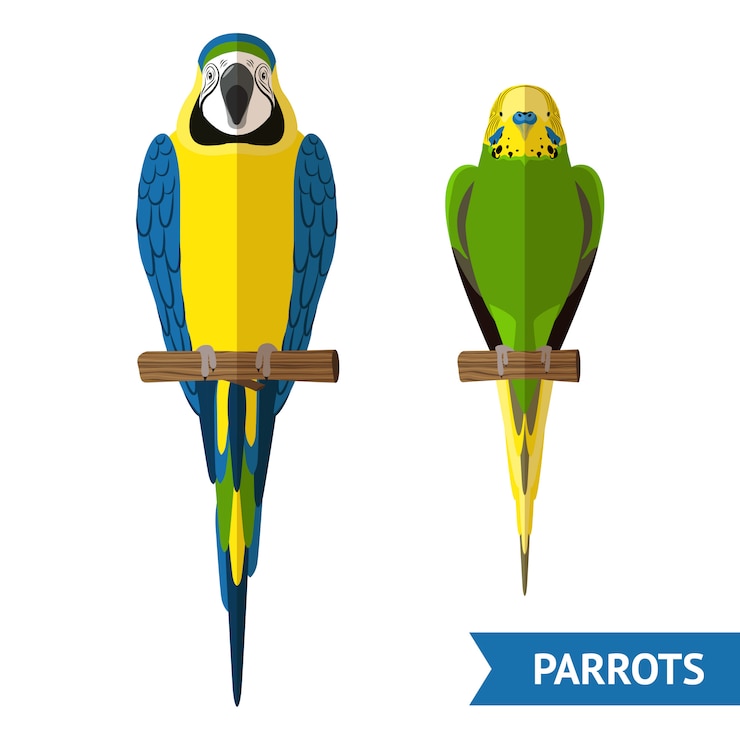 Vector Gratis sitting parrots set