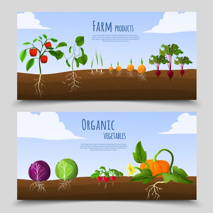 Vector Gratis spanduk horizontal makanan sehat