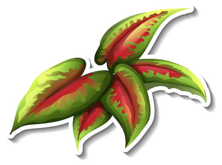 Vector Gratis stiker kuas daun tropis dengan latar belakang putih