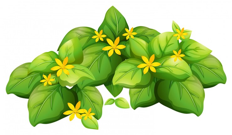 Vector Gratis tanaman dengan daun hijau dan bunga kuning