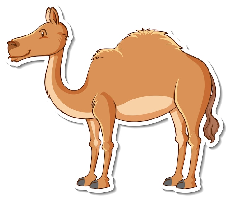 Vector Gratis templat stiker dengan unta yang diisolasi