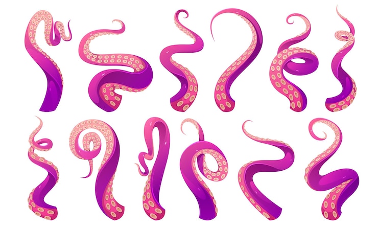 Vector Gratis tentacles of octopus, squid or kraken