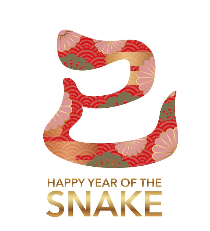 Vector Gratis the year of the snake vector kanji brush calligraphy decorated with japanese vintage patterns