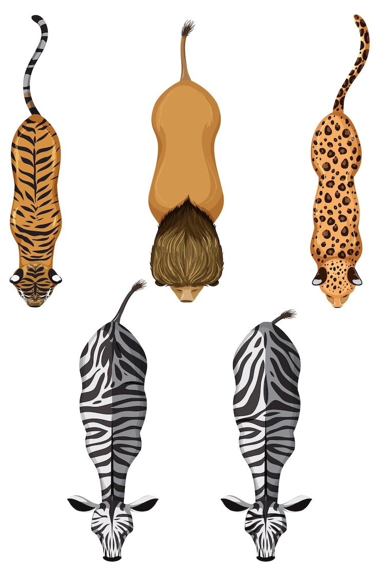 Vector Gratis top view of wild animals