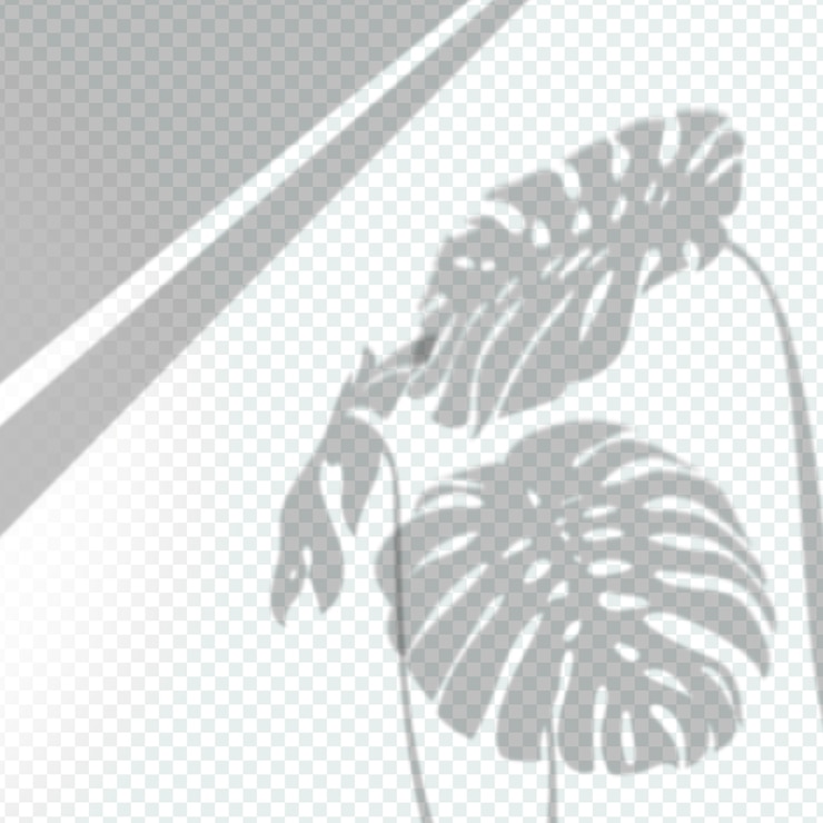 Vector Gratis transparent leaves shadows overlay effect
