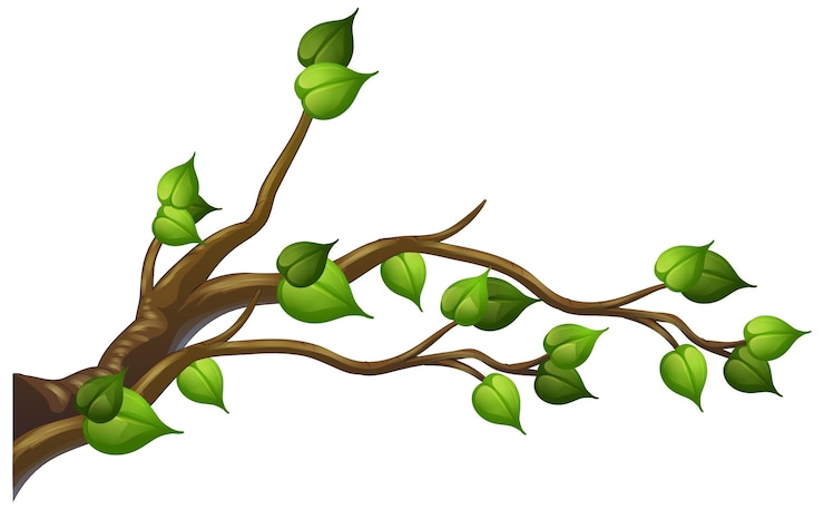 Vector Gratis tree branch isolated on white background