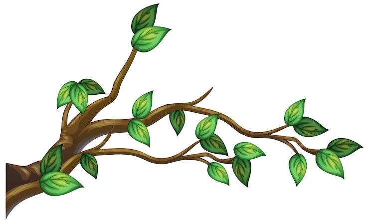 Vector Gratis tree branch isolated on white background