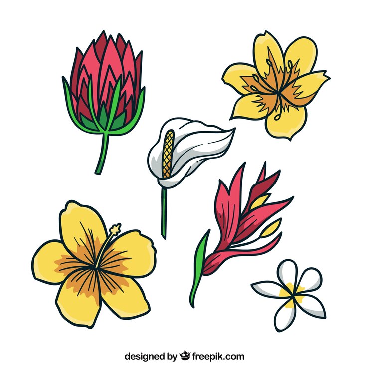 Vector Gratis tropical flowers collection with different colors