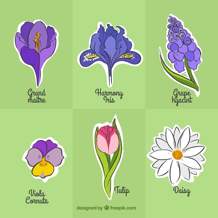 Vector Gratis variasi bunga yang digambar tangan