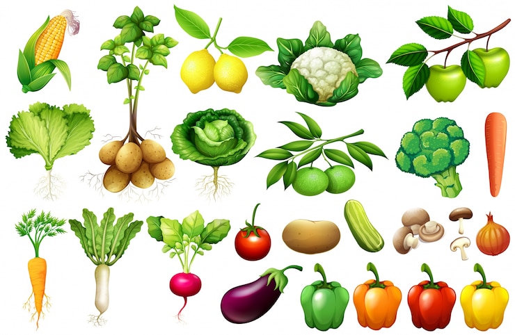 Vector Gratis various kind of vegetables illustration