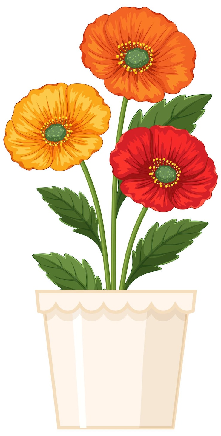 Vector Gratis vibrant poppies in a decorative pot