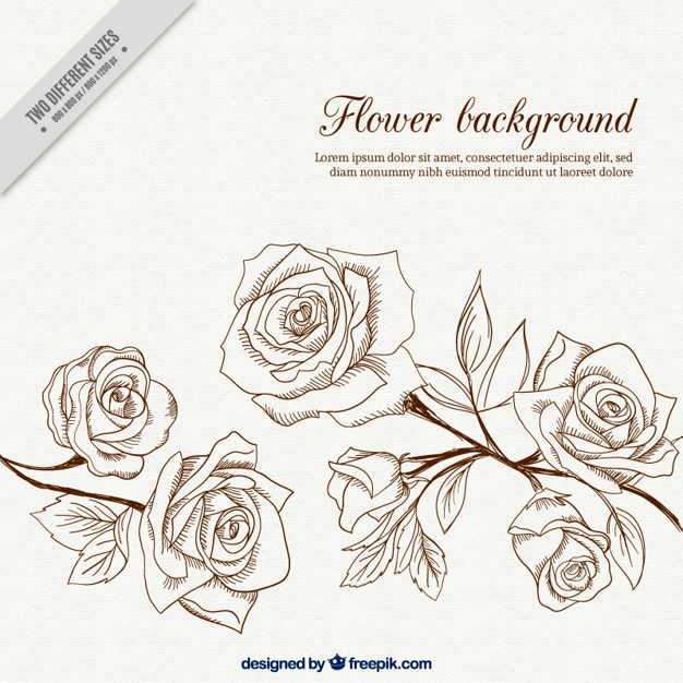 Vector Gratis vintage background of awesome hand-drawn flowers