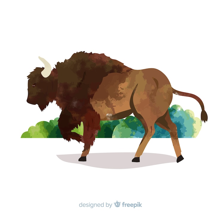 Vector Gratis watercolor paint with wildlife buffalo