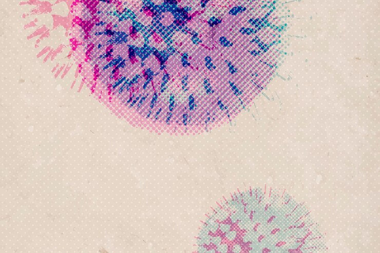 Vector Gratis web