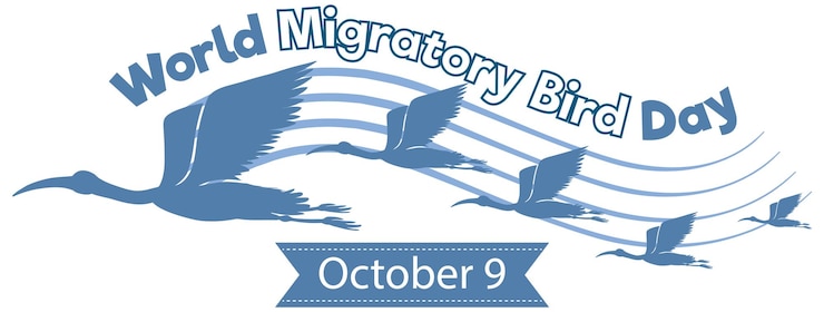 Vector Gratis world migratory bird day banner concept